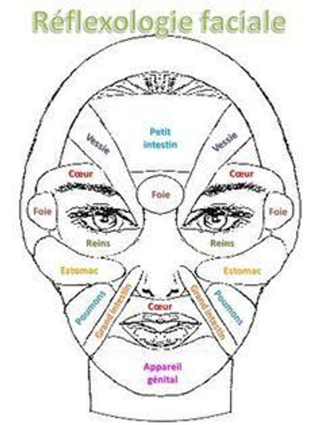 Réflexologie Faciale
