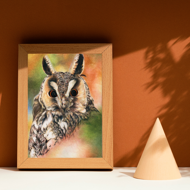 Hibou N°1