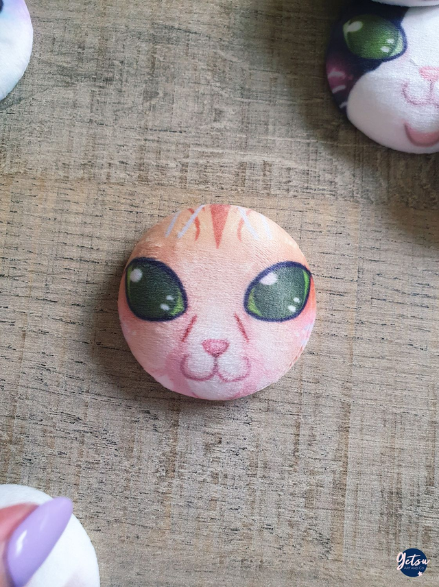 Basge squish - Maine Coon