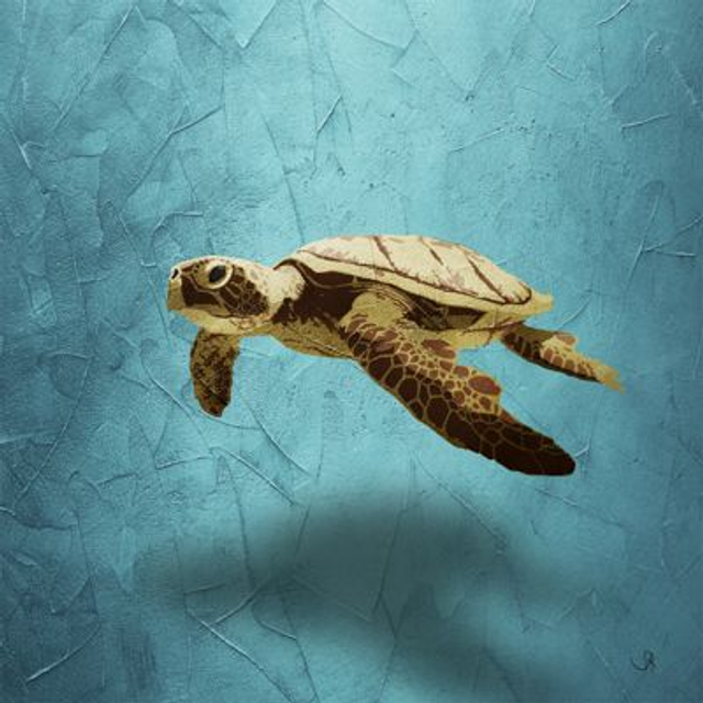 Carré B.-  Rêverie Aquatique