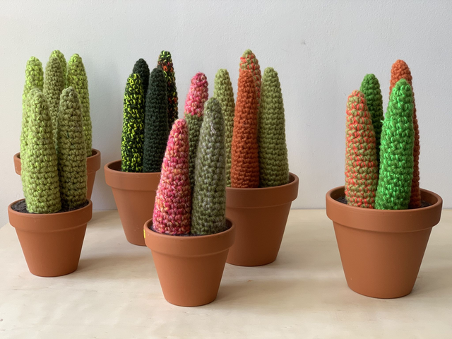 Cactus Gaudi