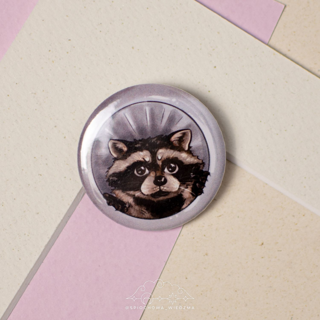 Szop w kuble | ZWIERZĘTA