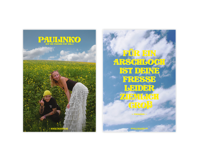 Poster PAULINKO "Für ein Arschloch ist deine Fresse leider ziemlich groß"