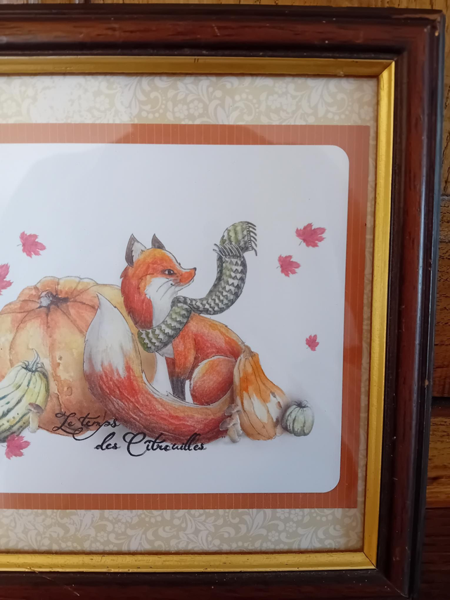 Moyen cadre - "Le temps des Citrouilles"