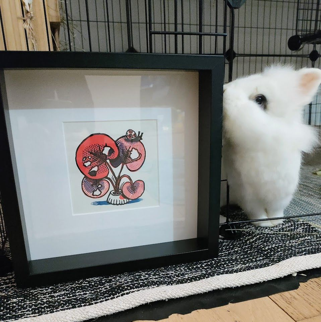 PLante 3 couleurs et escargot (rouge)