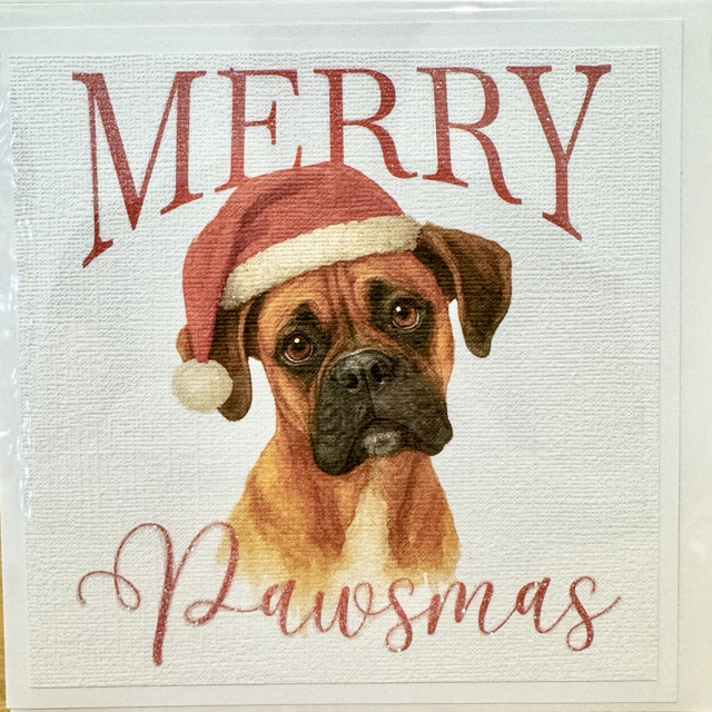 Boxer Pawsmas Card