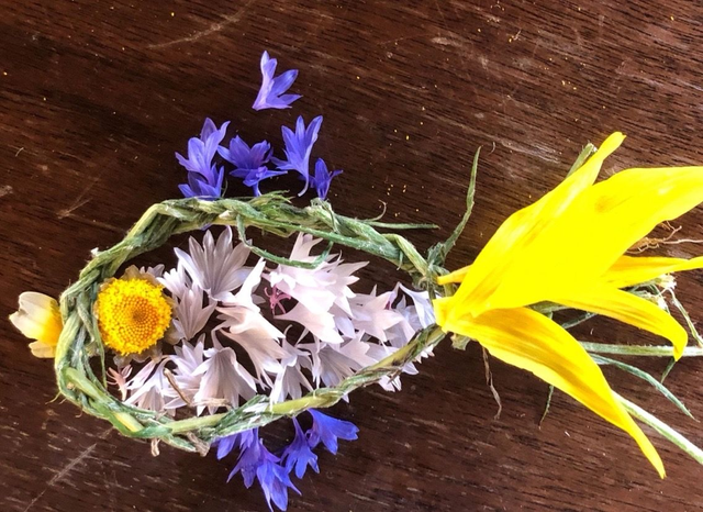 visite des animaux et landart