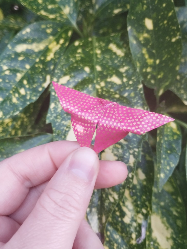 Broche en forme de papillon de couleur fuchsia et à pois dorés