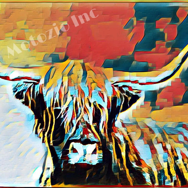 Highland Cow Greetings Card