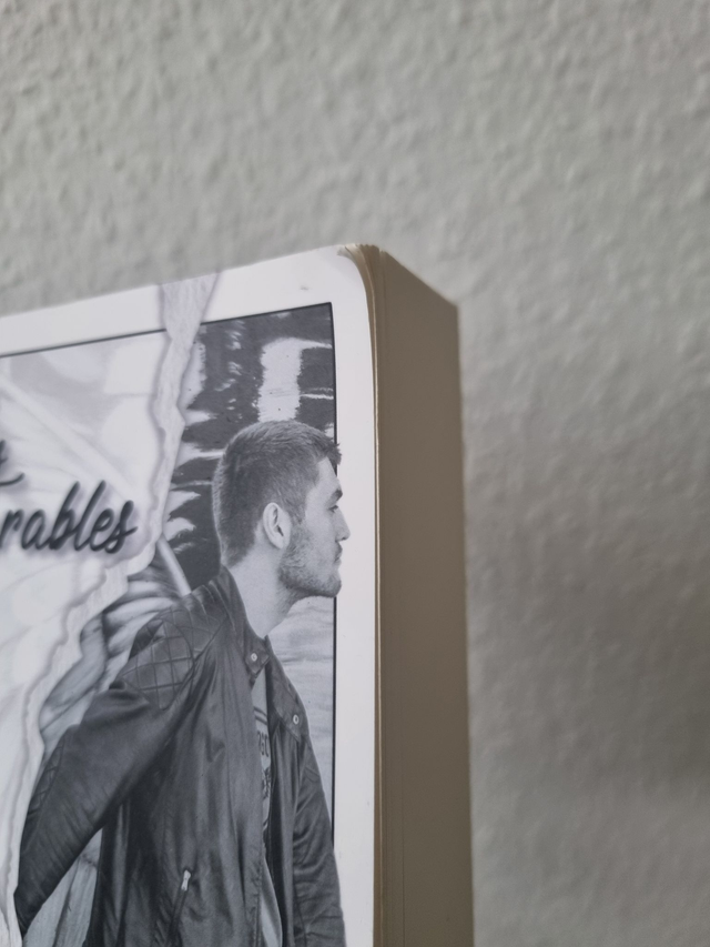 Les Inséparables (abîmé)