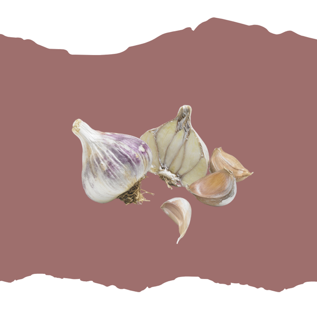 Ail violet Germidour