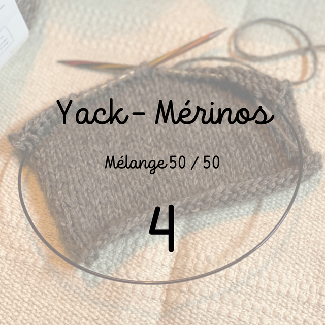 Yack - Mérinos 4 Fils 2026