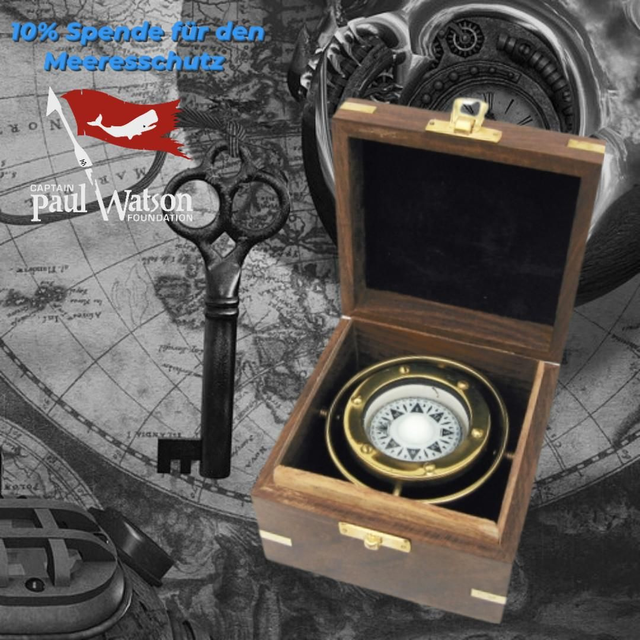 Kompass in der Holzbox (kardanisch aufgehängt)