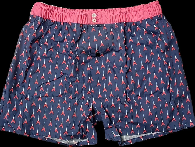 Caleçon slip ARTHUR 