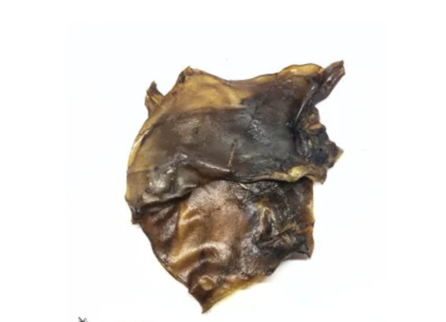 Plaques de cuir chevelu cheval