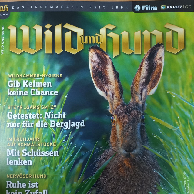 Wild und Hund