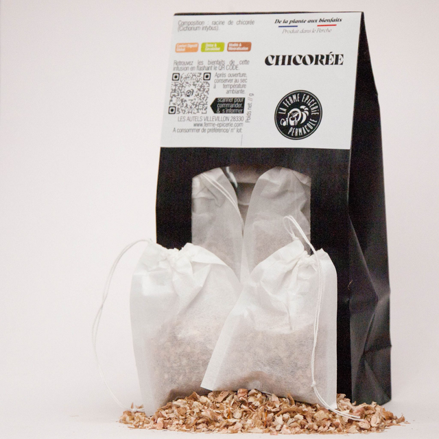 CHICOREE - RACINES BRUTES SECHEES