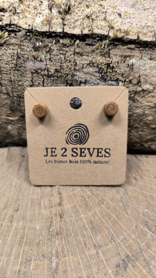 Platane + Châtaignier - 240187