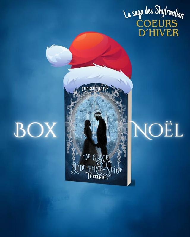 Box de Noël Theelrion broché