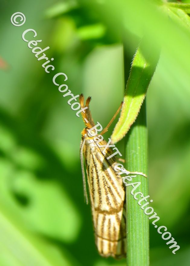 2 - Carte postale - Le petit monde du Vivant (Ref IMG_5845)