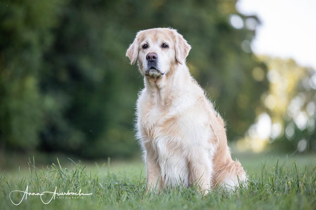 "AUSGEBUCHT"!!! Dummy Freitags 15-16:30 Uhr Winterzeit 2/2026