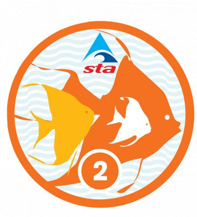 Angelfish 2 - Certificate with Badge