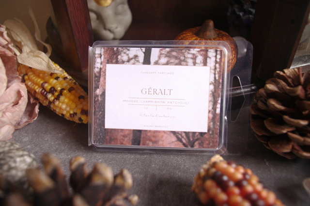 Fondant parfumé Géralt — Mousse, Champignon &amp; Patchouli