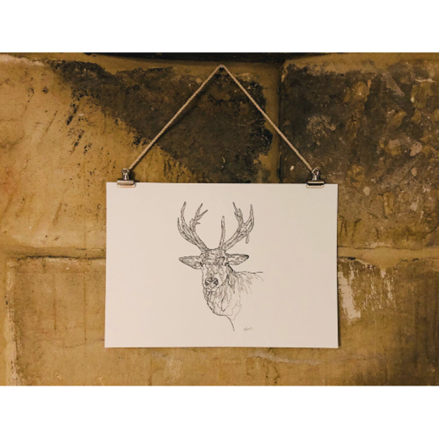 B&W A3 print - stag