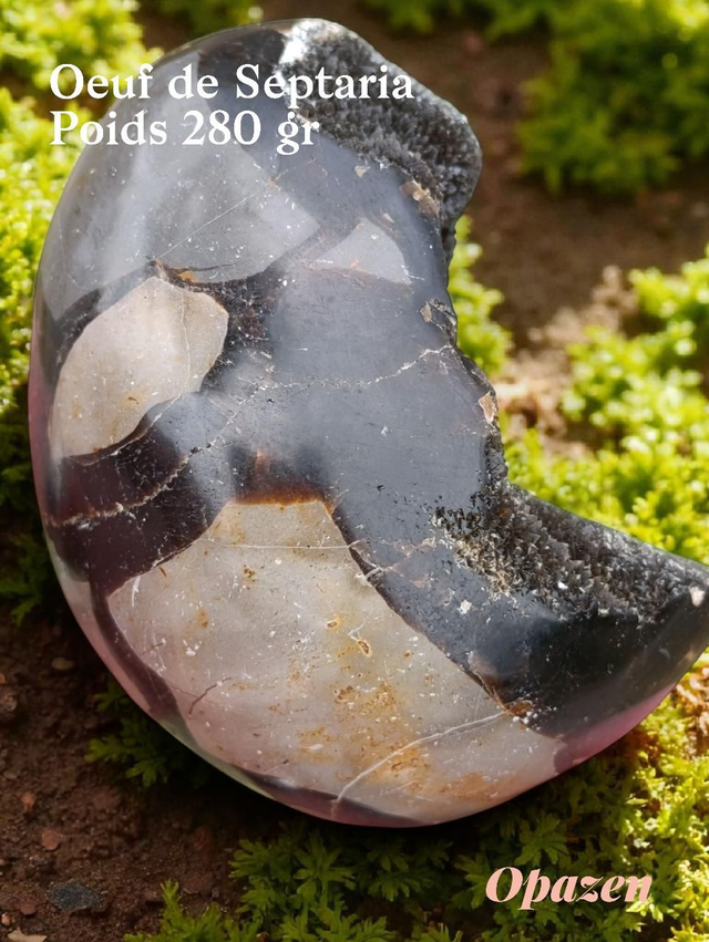 Oeuf en Septaria sauvage+ socle bois
