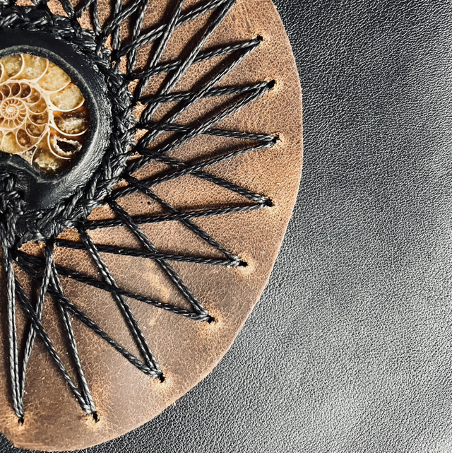 Torque ammonite