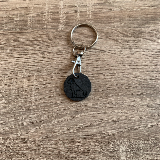 Porte-clés jeton de caddi