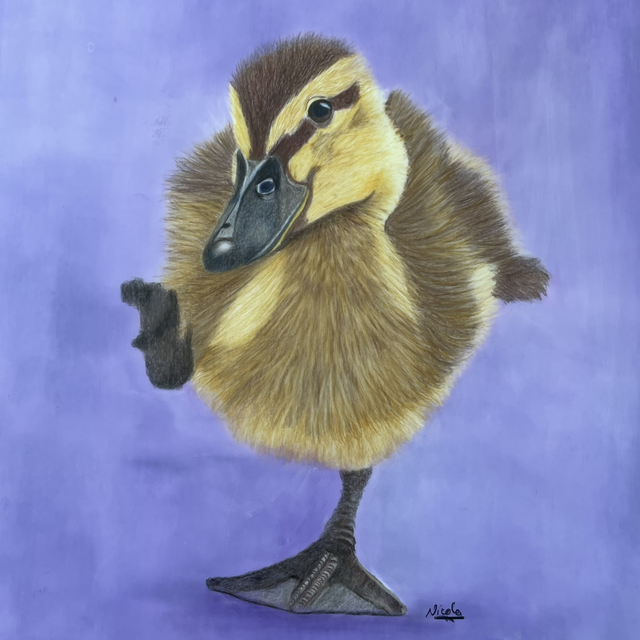 Duckling Splashing About