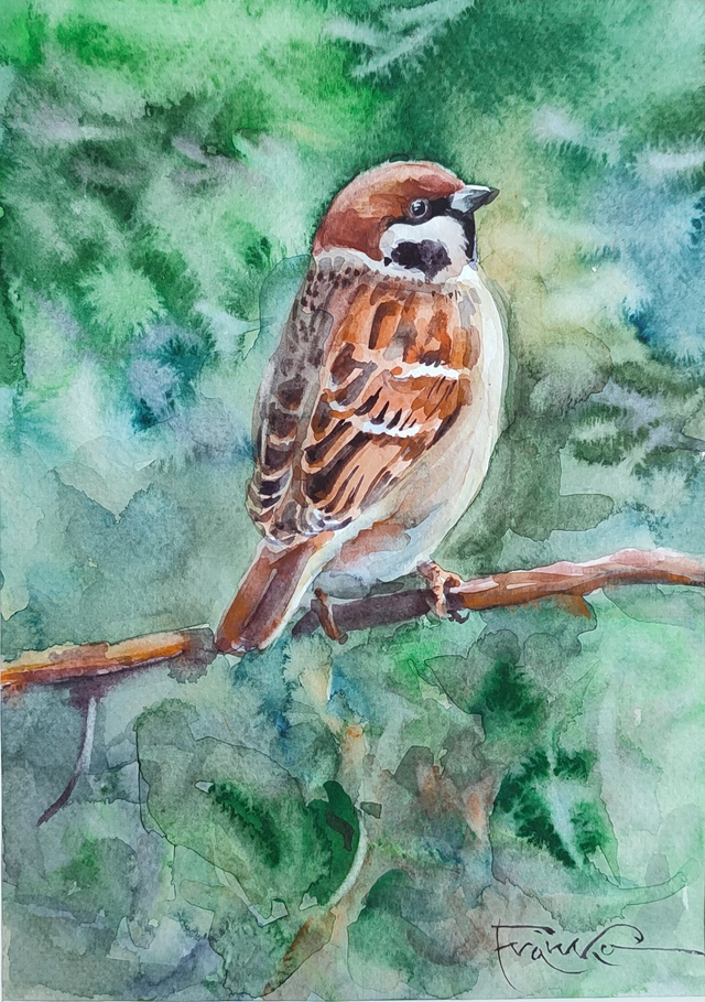 Mazurek, 30x24 (21x15 w świetle passe-partout) akwarela 2022