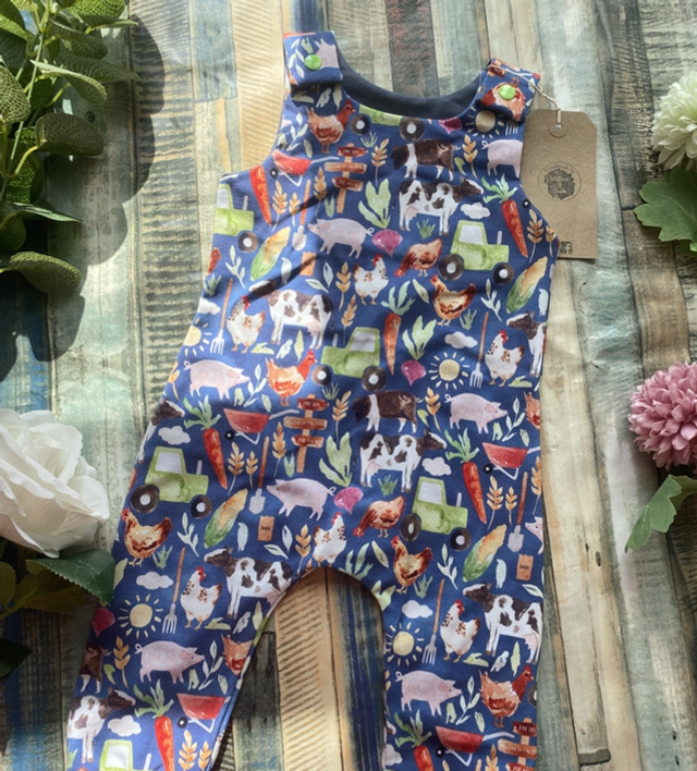 Navy Farm Dungarees 6-12m