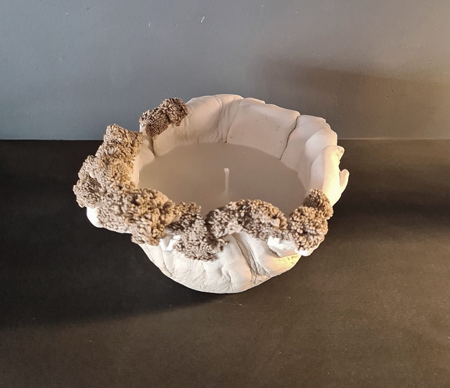 &quot;Lumière de Corail&quot;