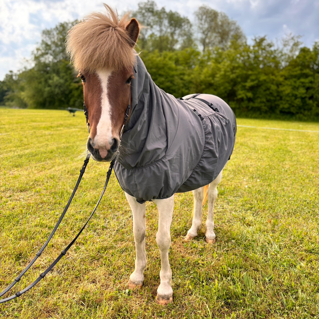 Blómatún Ekzemerdecke Faxi