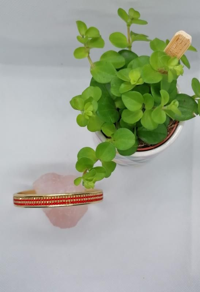 Double ligne rouge/dorée