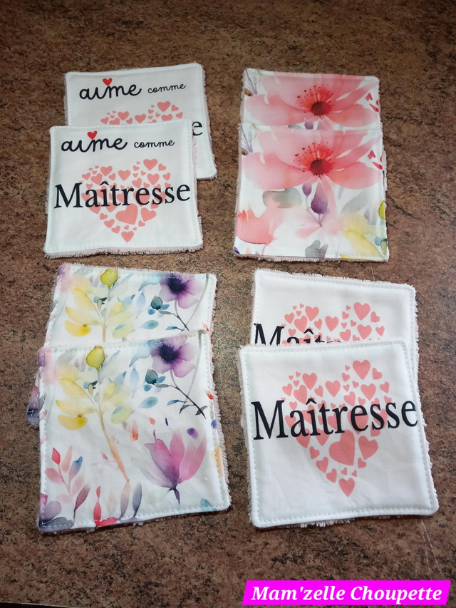 Lot de 8 lingettes Maîtresse 