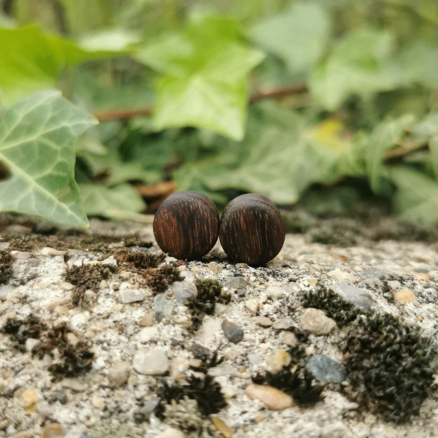 Plugs en Bois d'Amazakoué du Gabon, 10 mm