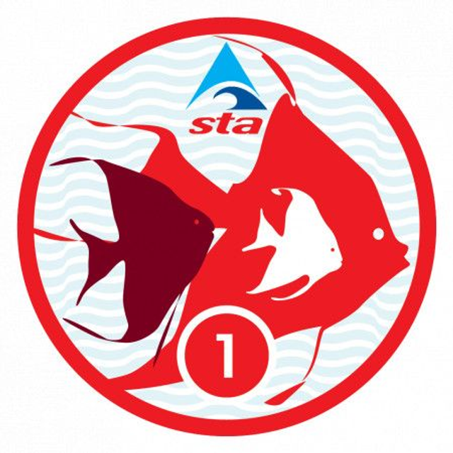 Angelfish 1 - Certificate with Badge