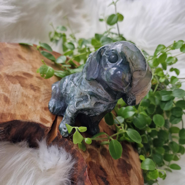 Moss Agate Dog 