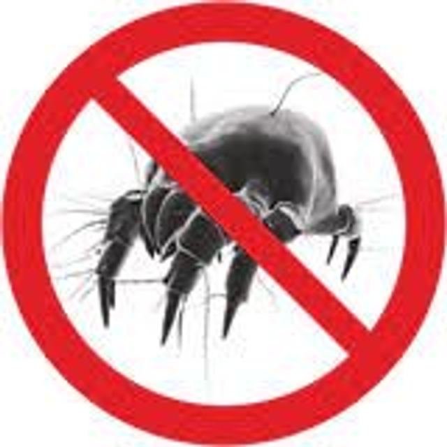 Guanciale Sanitario FIBRA ANTIACARO