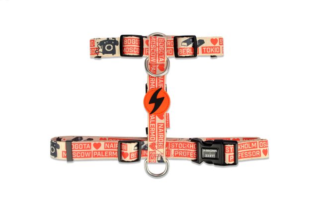 LCDP Jarana back harness