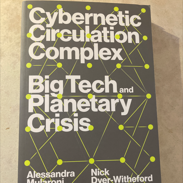 cybernetic circulation complex alessandra mularoni nick dyer-witheford