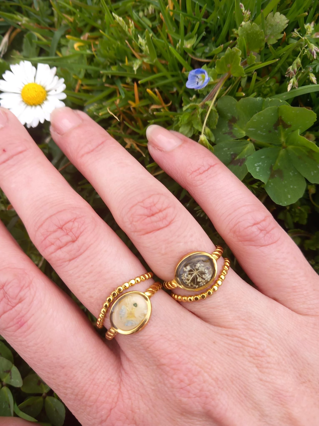 Bague terra