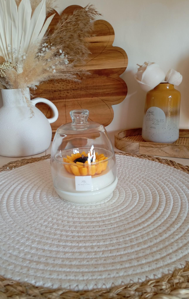 Bougie Fleur Tournesol | Cloche en verre 