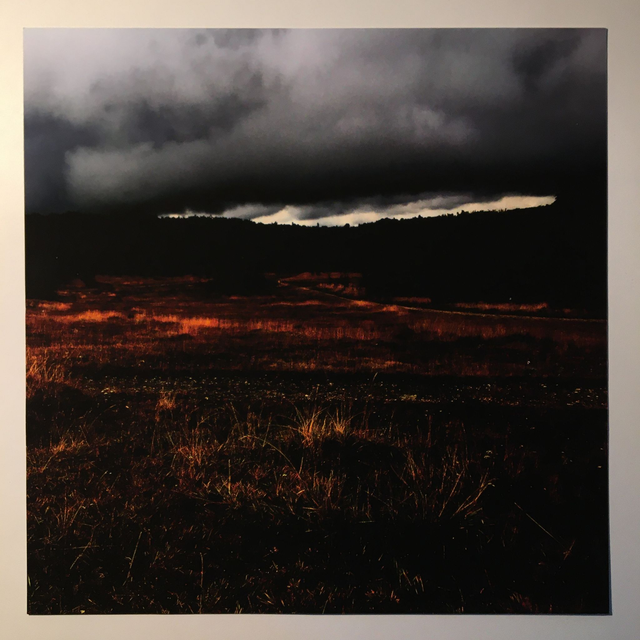 "Melancholia" - Tirage Photo FineArt (30x30 sans cadre)