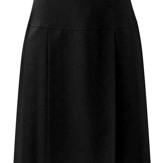 Wardle skirt senior plain 