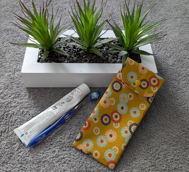 étui de voyage pour brosse à dents et dentifrice 