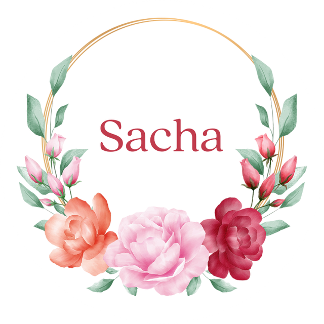 Lot de stickers papier &quot;Sacha&quot; - Personnalisable